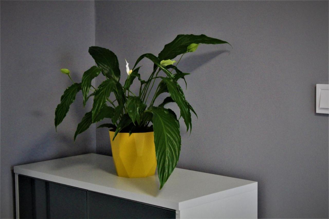 Apartament Przy Arsenale Wrocław Buitenkant foto